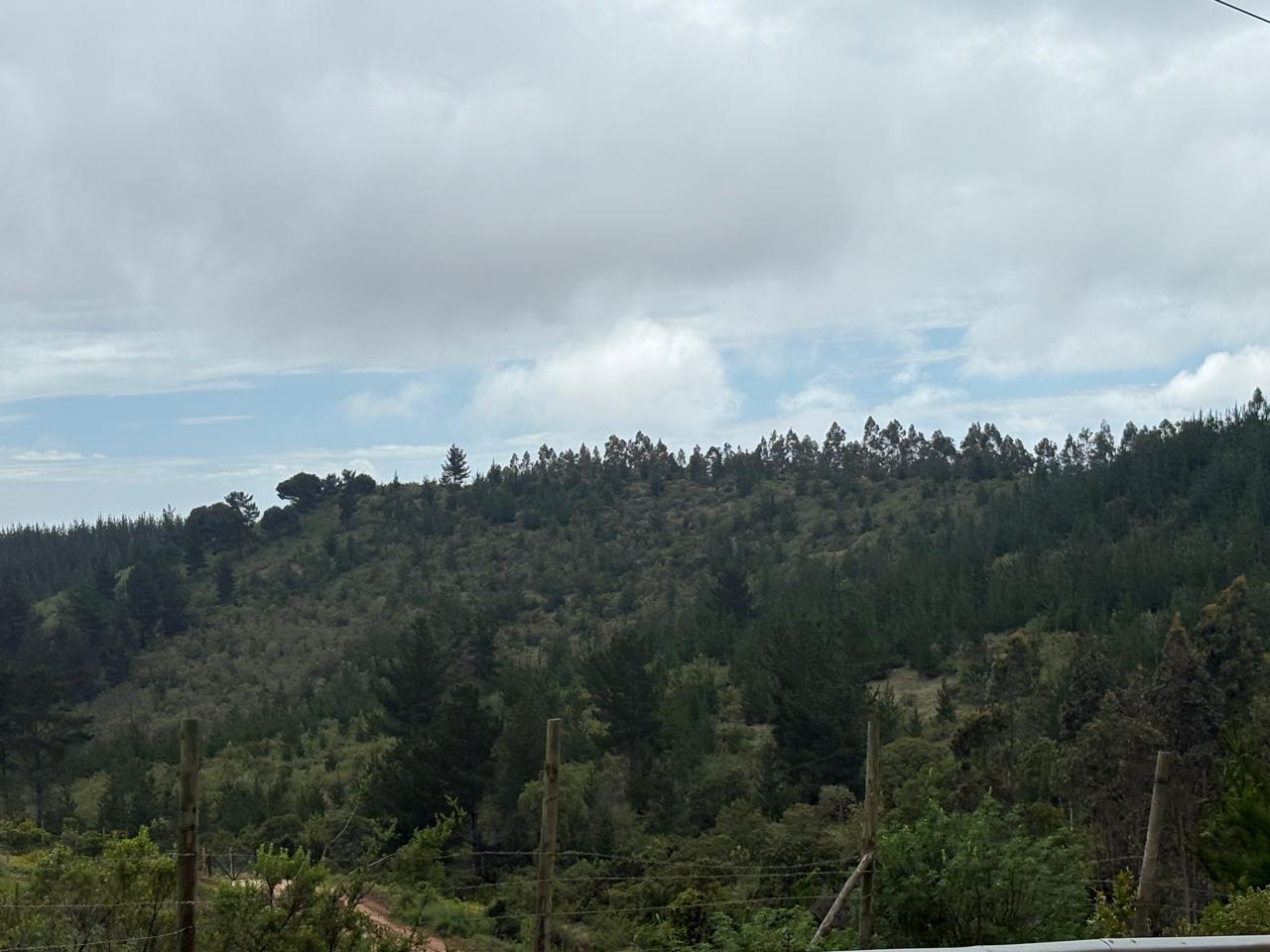 Paisaje natural de la Región de O'Higgins
